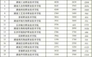 湖南单招2017年排名（2020湖南单招总人数）