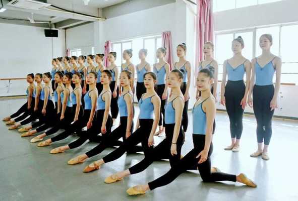 南昌舞蹈专业的大学（南昌舞蹈艺术学校有哪些）-第1张图片-互合科技（云南）有限公司